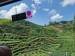 20250914_124309 (1) A
